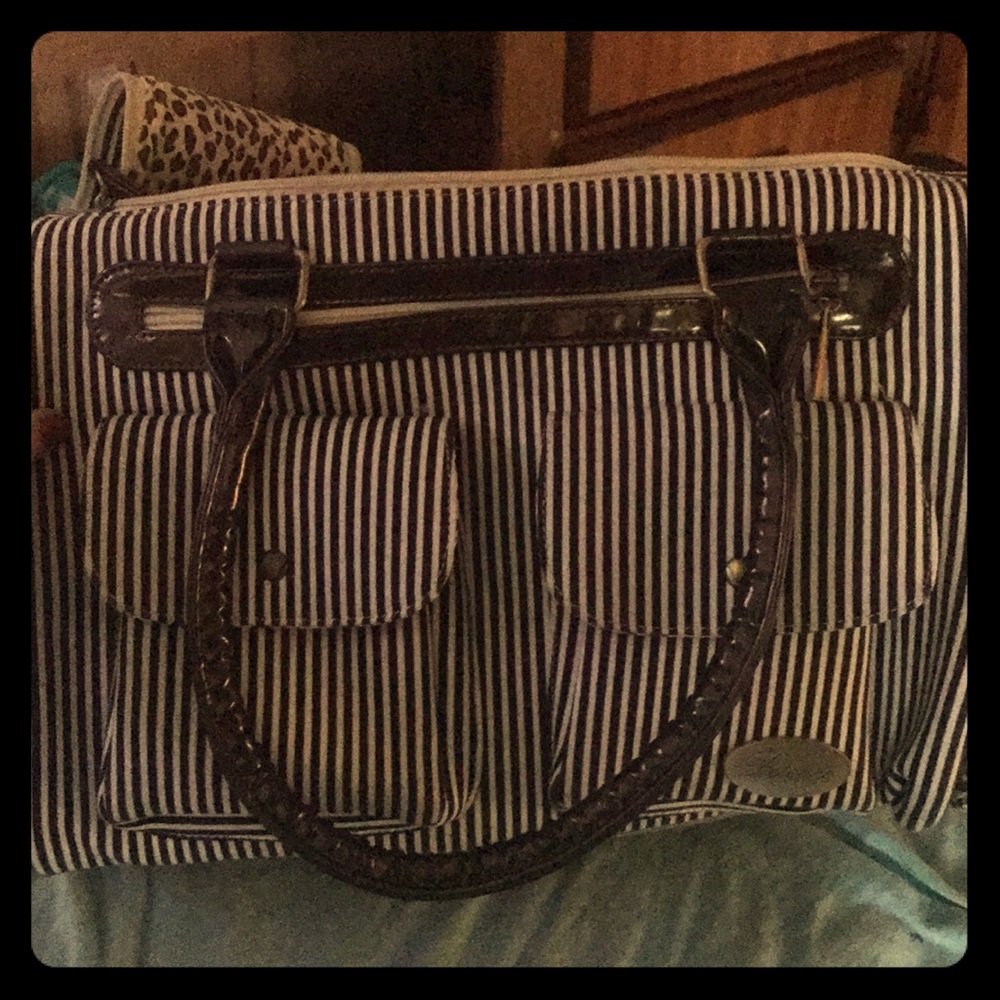 Pet carrier purse